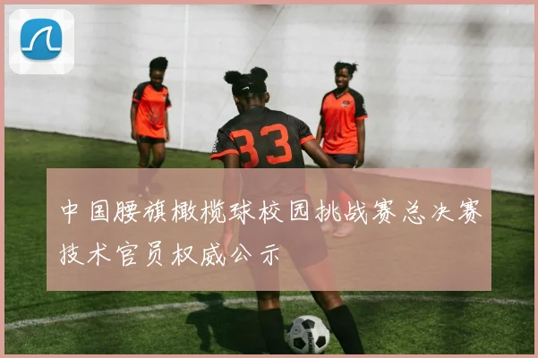 中国腰旗橄榄球校园挑战赛总决赛技术官员权威公示